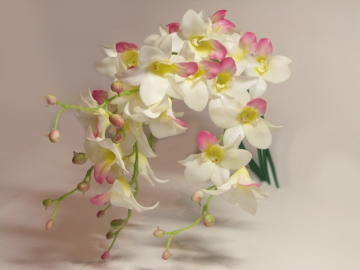 Кисти орхидеи